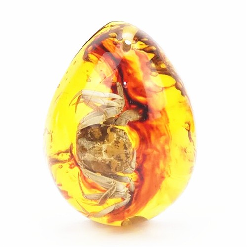 Harz amber schmetterlings - harz,