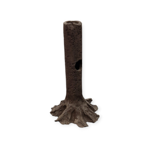 Nano garnelenstamm cm - nano, 10