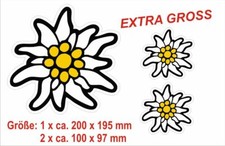 Edelweiss  EXTRA GROSS Alpen