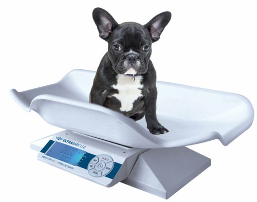 Myweigh tierwaage 27kg inkl - myweigh,