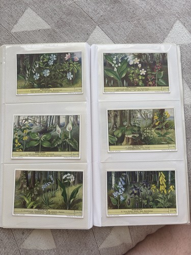 Liebig sammelbilder - liebig,