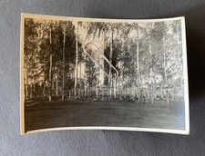 Front Feldzug Grabstätte Friedhof Grab 2.WK WW2 Original Foto 