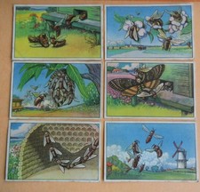 6 Sammelbilder Echte Wagner