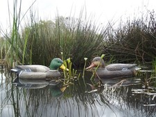 2 Stück Ente Schwimmente