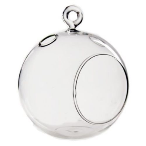 Plant terrarium round - plant, 2"