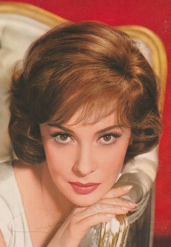 Gina lollobrigida original - gina,