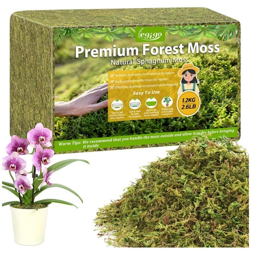 Sphagnum moos 1200g - moos,