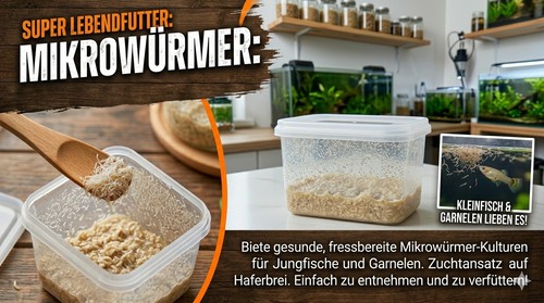 Lebendfutter