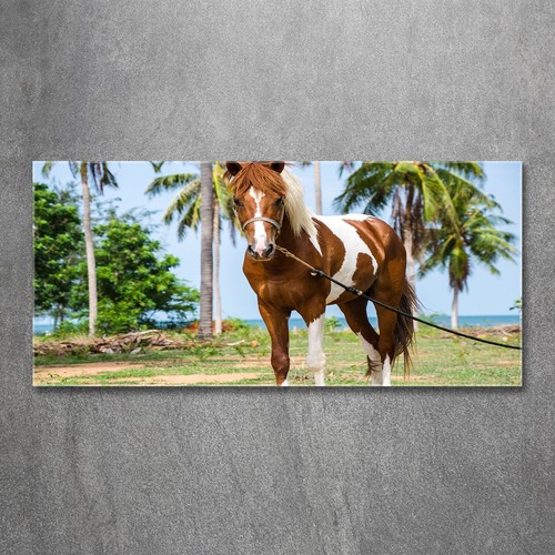 Wandbild aus plexiglas - aus, druck
