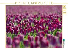 CALVENDO Puzzle Prächtiges