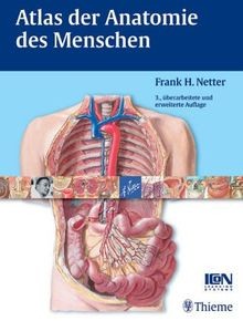 Atlas der anatomie des - atlas,