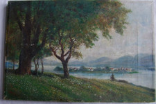 Remagen,Nonnenwerth;Rheinansic