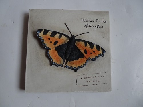 Bild schmetterling kleiner - 3d,