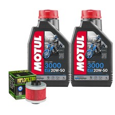 Set Service Öl Motul 3000