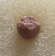 Eutelecrinus poculiformis