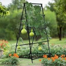 Gurke Rankhilfe Metall