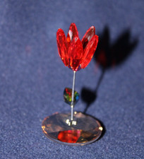 Swarovski Wackelblume Kim Tulip OVP Zertifikat AP 2009 1016548 RETIRED