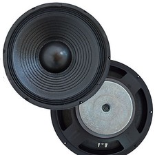 25 cm/10" PA SUBWOOFER 800