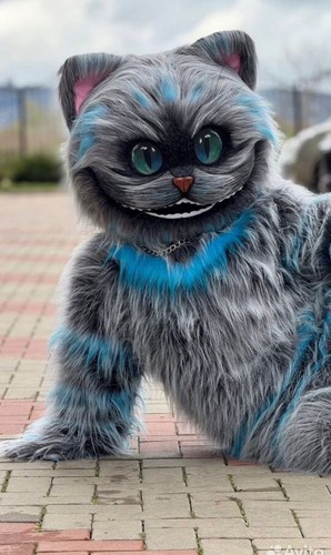 Cheshire cat mascot costume - cheshire,