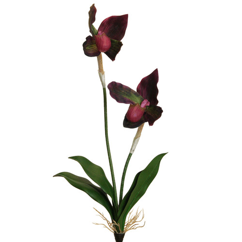 Real touch orchideen - touch,