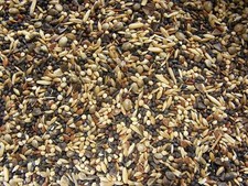 Waldvogelfutter 25 kg