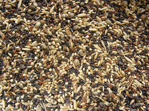 Waldvogelfutter kg - 25,