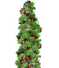 Japanische Säulen-Himbeeren 1