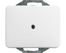 Busch-Jaeger 1742-24G