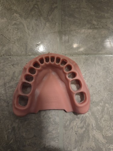 Frasaco gingiva wuk - frasaco, –