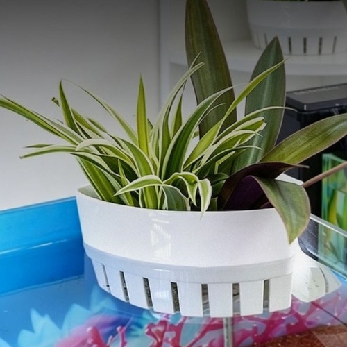 Unterwasser blumentopf - unterwasser,