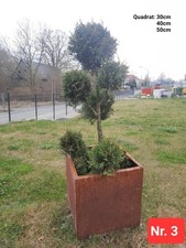 Pflanzkübel Metall 40x40x40