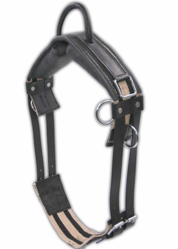 Longiergurt reitgurt soft - reitgurt,