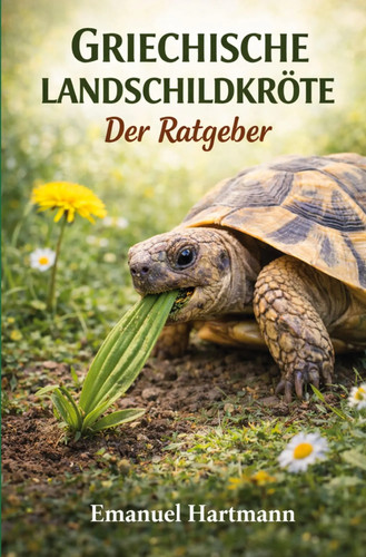 Griechische landschildkröte - griechische,