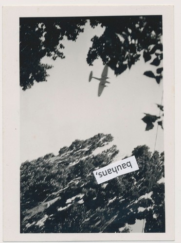 Foto legion condor - foto, s/88,