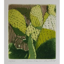 Helga Wirth Opuntien Kaktus Zeitgenössische Kunst signiert Radierung 1998 14/40