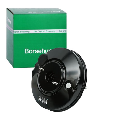 BORSEHUNG