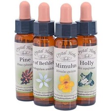 10ml Bachblüten Heilmittel -