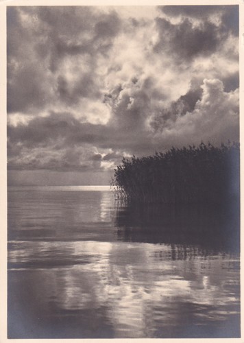 Kurische nehrung alt morgen - kurische,