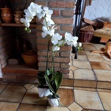 Orchideen weiß kunststoff - 2,