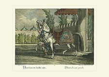 Divani von der linken Seite