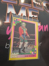 Merlin WWF WWE Doink The Clown