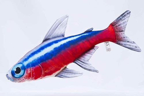 Gaby neon tetra 53cm - neon,