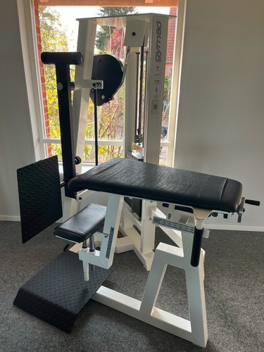 Gym80 glute - gym80,