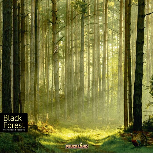 Spiel black forest feuerland - spiel, (feuerland