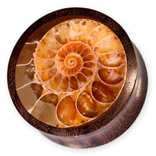Holz Plugs mit Ammoniten Flesh
