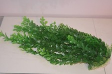 Aquarium Große Kunststoff