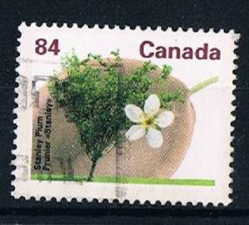 Kanada canada 1272 - kanada,