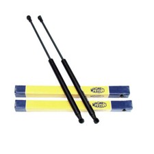 2x Gasfeder Dämpfer