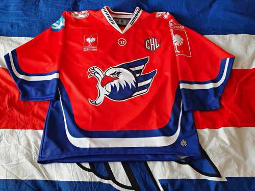 Adler mannheim chl - mannheim,