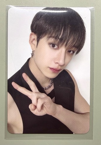 Stray kids bang chan - stray,